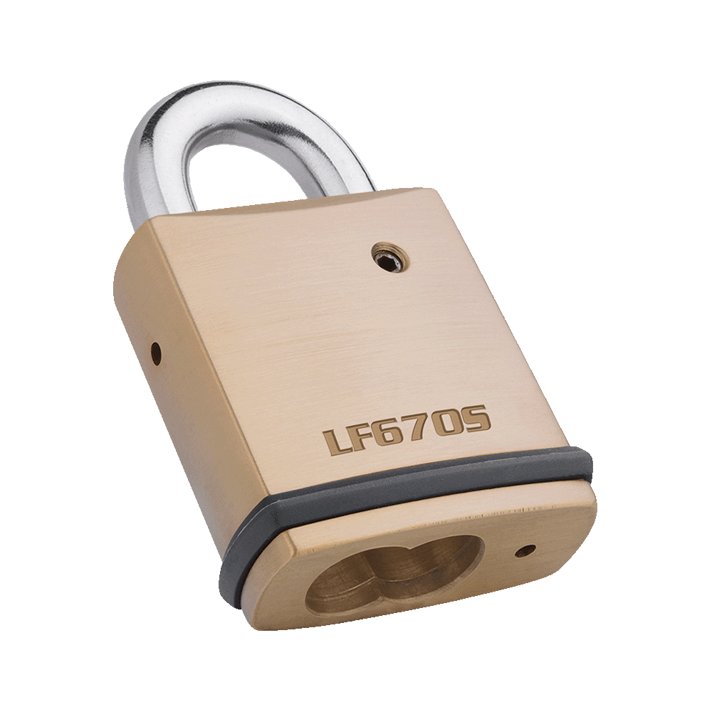 LFIC Brass Padlock 50MM